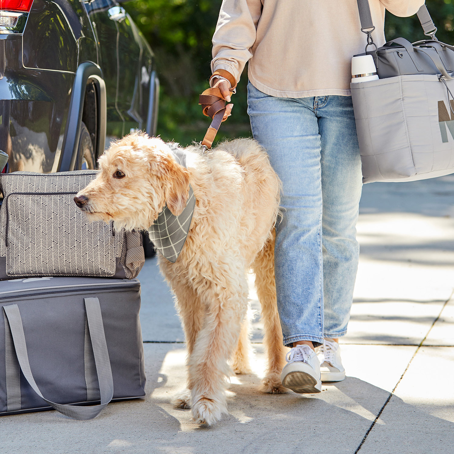 Thirty-One Dog Tote Bags