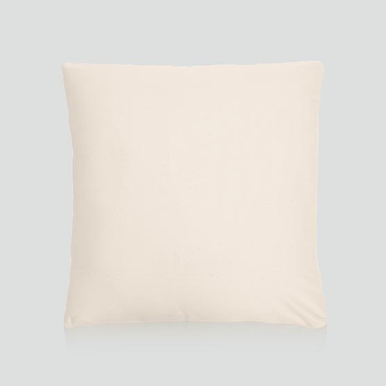 18x18 canvas pillow cover