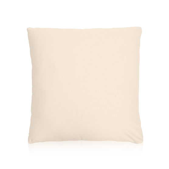 Statement Canvas Pillow Cover & Insert 24x24 - Natural